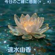 ヒメ日記 2025/11/19 21:30 投稿 速水由香 五十路マダムエクスプレス横浜店（カサブランカグループ）