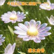 ヒメ日記 2025/11/27 21:18 投稿 速水由香 五十路マダムエクスプレス横浜店（カサブランカグループ）