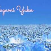 ヒメ日記 2026/01/10 09:26 投稿 速水由香 五十路マダムエクスプレス横浜店（カサブランカグループ）