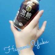 ヒメ日記 2026/01/31 15:20 投稿 速水由香 五十路マダムエクスプレス横浜店（カサブランカグループ）