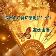 ヒメ日記 2026/02/01 15:22 投稿 速水由香 五十路マダムエクスプレス横浜店（カサブランカグループ）