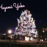 ヒメ日記 2026/02/02 19:42 投稿 速水由香 五十路マダムエクスプレス横浜店（カサブランカグループ）