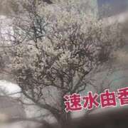 ヒメ日記 2026/02/05 15:48 投稿 速水由香 五十路マダムエクスプレス横浜店（カサブランカグループ）