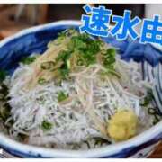 ヒメ日記 2026/02/18 19:24 投稿 速水由香 五十路マダムエクスプレス横浜店（カサブランカグループ）