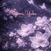 ヒメ日記 2026/02/26 16:14 投稿 速水由香 五十路マダムエクスプレス横浜店（カサブランカグループ）