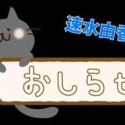ヒメ日記 2026/03/07 17:28 投稿 速水由香 五十路マダムエクスプレス横浜店（カサブランカグループ）