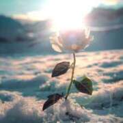 ヒメ日記 2026/03/10 03:48 投稿 速水由香 五十路マダムエクスプレス横浜店（カサブランカグループ）