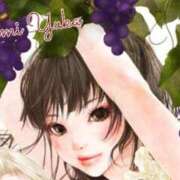 ヒメ日記 2026/03/31 11:24 投稿 速水由香 五十路マダムエクスプレス横浜店（カサブランカグループ）