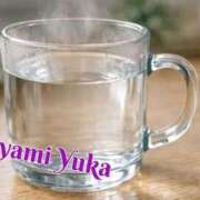 ヒメ日記 2026/04/03 07:46 投稿 速水由香 五十路マダムエクスプレス横浜店（カサブランカグループ）