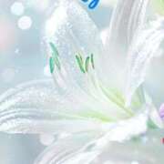 ヒメ日記 2026/04/21 21:32 投稿 速水由香 五十路マダムエクスプレス横浜店（カサブランカグループ）