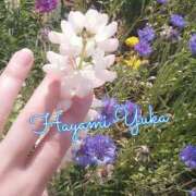ヒメ日記 2026/05/19 14:20 投稿 速水由香 五十路マダムエクスプレス横浜店（カサブランカグループ）