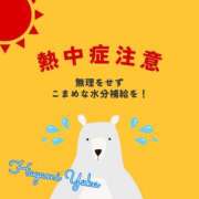 ヒメ日記 2026/07/20 12:14 投稿 速水由香 五十路マダムエクスプレス横浜店（カサブランカグループ）