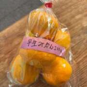 ヒメ日記 2025/10/23 16:33 投稿 ねね 完熟ばなな 上野店