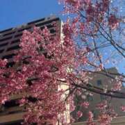 ヒメ日記 2026/03/05 09:46 投稿 ねね 完熟ばなな 上野店