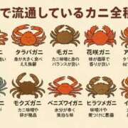 ヒメ日記 2026/03/19 08:56 投稿 ねね 完熟ばなな 上野店