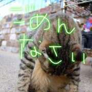 ヒメ日記 2026/03/22 12:26 投稿 ねね 完熟ばなな 上野店