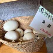 ヒメ日記 2026/05/08 23:36 投稿 ねね 完熟ばなな 上野店