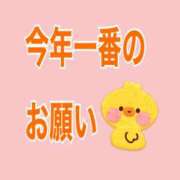 ヒメ日記 2025/11/18 12:30 投稿 ひより ドンファン