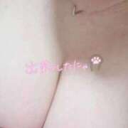 ヒメ日記 2026/02/27 14:39 投稿 かな ぽちゃ巨乳専門　新大久保・新宿歌舞伎町ちゃんこ