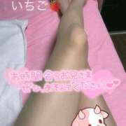 ヒメ日記 2025/09/16 18:31 投稿 いちご スチュワーデス