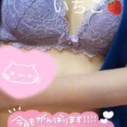 ヒメ日記 2025/09/19 17:06 投稿 いちご スチュワーデス