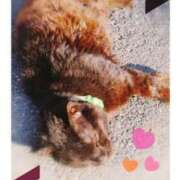 ヒメ日記 2025/12/17 09:24 投稿 富岡 花苗 こあくまな熟女たち 池袋店(KOAKUMAグループ)