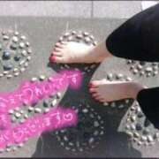 ヒメ日記 2026/02/24 00:51 投稿 富岡 花苗 こあくまな熟女たち 池袋店(KOAKUMAグループ)