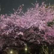 ヒメ日記 2026/03/02 21:36 投稿 富岡 花苗 こあくまな熟女たち 池袋店(KOAKUMAグループ)