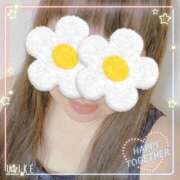 レイ 初めまして 宮崎ちゃんこ中央通店