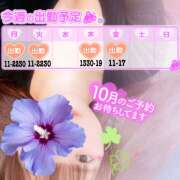 ヒメ日記 2025/10/19 22:42 投稿 江藤さくら 癒されるワイフ