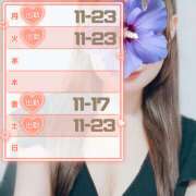 ヒメ日記 2025/11/10 08:07 投稿 江藤さくら 癒されるワイフ