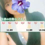 ヒメ日記 2025/12/01 08:26 投稿 江藤さくら 癒されるワイフ