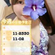 ヒメ日記 2026/01/13 08:30 投稿 江藤さくら 癒されるワイフ