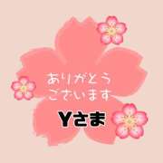 ヒメ日記 2026/01/16 10:42 投稿 江藤さくら 癒されるワイフ