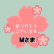 ヒメ日記 2026/01/16 11:00 投稿 江藤さくら 癒されるワイフ