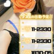 ヒメ日記 2026/01/27 10:22 投稿 江藤さくら 癒されるワイフ