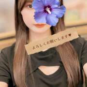 ヒメ日記 2026/01/29 07:56 投稿 江藤さくら 癒されるワイフ