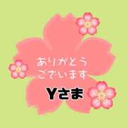 ヒメ日記 2026/01/31 07:12 投稿 江藤さくら 癒されるワイフ