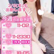 ヒメ日記 2026/02/03 23:48 投稿 江藤さくら 癒されるワイフ