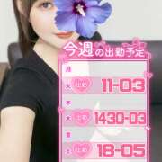 ヒメ日記 2026/02/10 08:08 投稿 江藤さくら 癒されるワイフ