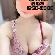 ヒメ日記 2026/03/13 20:20 投稿 江藤さくら 癒されるワイフ