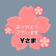 ヒメ日記 2026/03/31 14:36 投稿 江藤さくら 癒されるワイフ