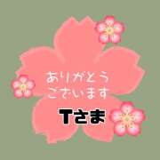 ヒメ日記 2026/04/03 13:36 投稿 江藤さくら 癒されるワイフ