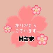 ヒメ日記 2026/04/21 12:04 投稿 江藤さくら 癒されるワイフ