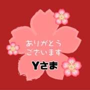 ヒメ日記 2026/04/29 16:38 投稿 江藤さくら 癒されるワイフ