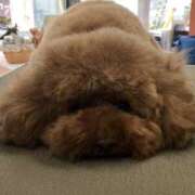 ヒメ日記 2026/03/21 09:30 投稿 ゆうり 奥鉄オクテツ奈良