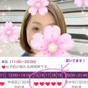 ヒメ日記 2026/04/08 12:00 投稿 ゆうり 奥鉄オクテツ奈良