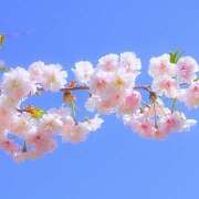 ヒメ日記 2025/09/28 21:58 投稿 江藤さくら ワイフの楽園