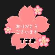 ヒメ日記 2025/11/15 06:07 投稿 江藤さくら ワイフの楽園