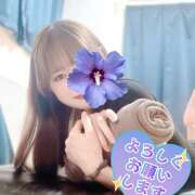 ヒメ日記 2025/11/15 10:26 投稿 江藤さくら ワイフの楽園